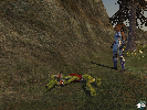 Char und NPC