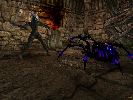 Char und NPC