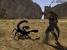 Char und NPC