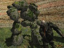 Char und NPC