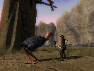 Char und NPC