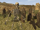 Mobs