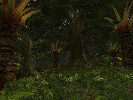 Norrath