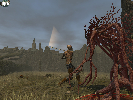 Char und NPC