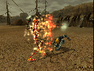 Char und NPC