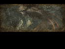 Zeichnungen