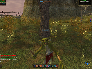 Mobs