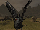 Char und NPC