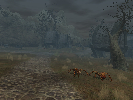 EQ2 Beta
