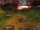 EQ2 Beta