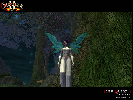 Echoes of Faydwer